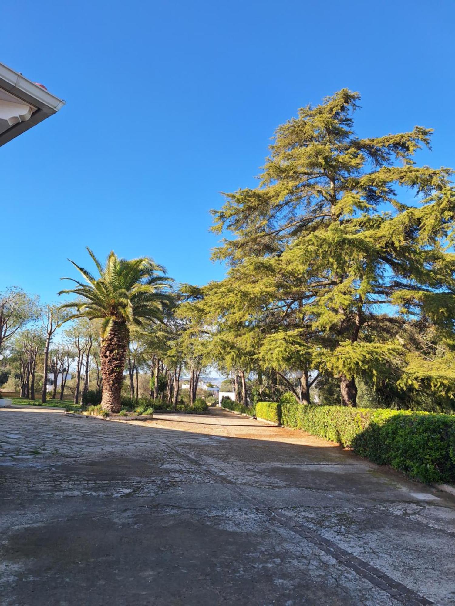 Holiday Home Trullo Antico Ostuni Buitenkant foto